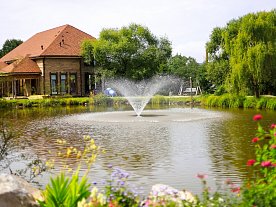 Фотогалерея Фотогалерея